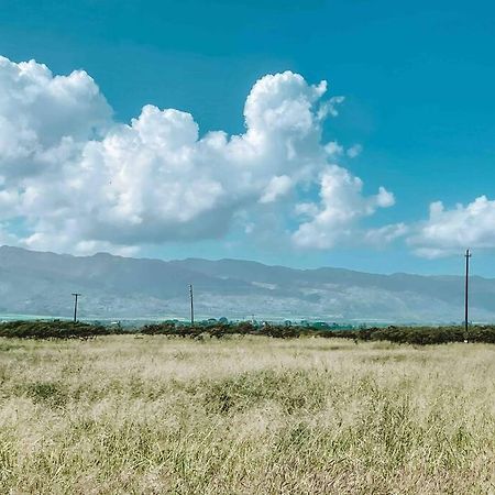 Cute Off Grid Glampsite With Wifi- 5 Min From Haleiwa Town Hotel Eksteriør billede
