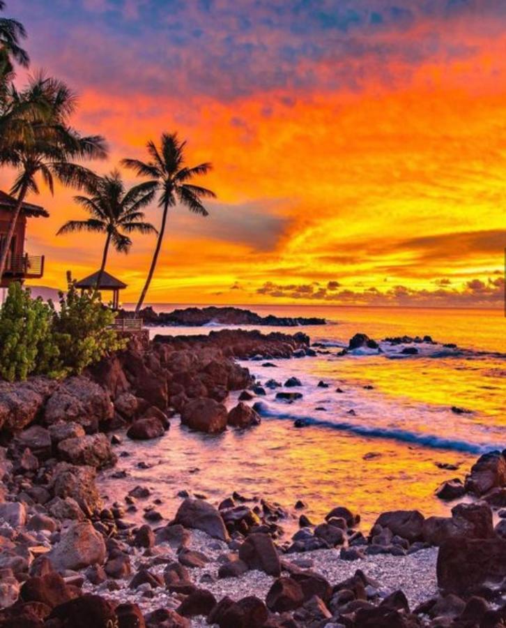 Cute Off Grid Glampsite With Wifi- 5 Min From Haleiwa Town Hotel Eksteriør billede